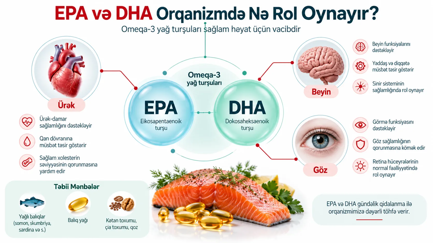 EPA və DHA omeqa-3 yağ turşularının orqanizmdə rolu